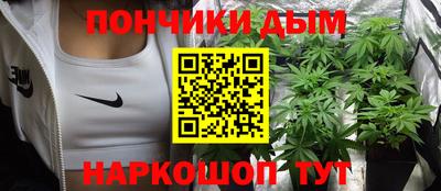 сатива Моздок
